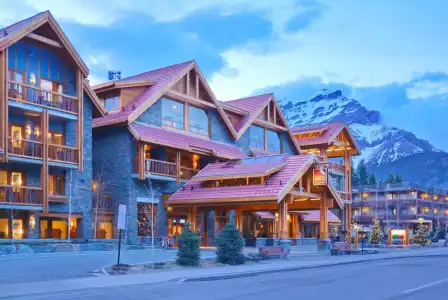 Moose And Suites - 24