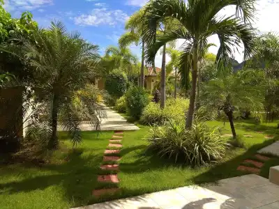 Stella Resort - 57