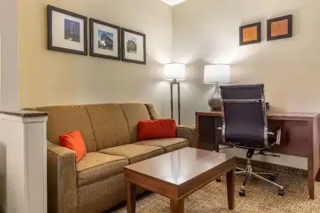 Comfort Suites Raleigh Walnut Creek - 49