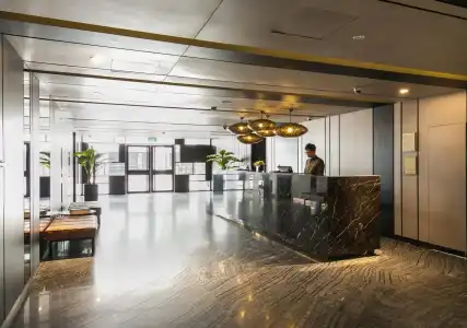 Venue - The Lily - 1