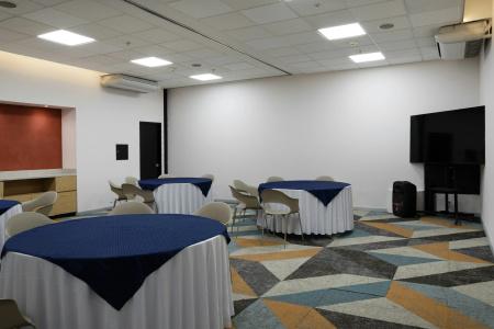 Hilton Garden Inn Mexico City Polanco - 2