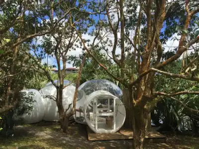 Bubble Lodge Bois Chéri Plantation - 5