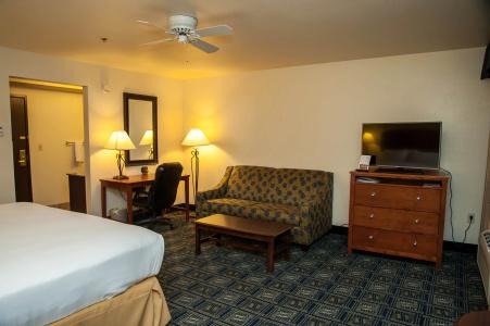 Holiday Inn Express Airport - Tucson by IHG - 33