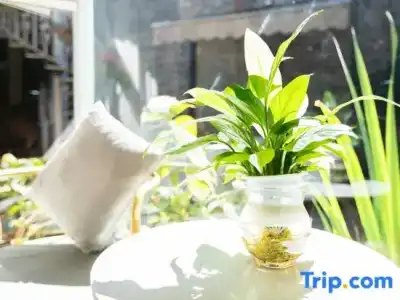Lijiang Weave Sunshine Boutique Inn - 50