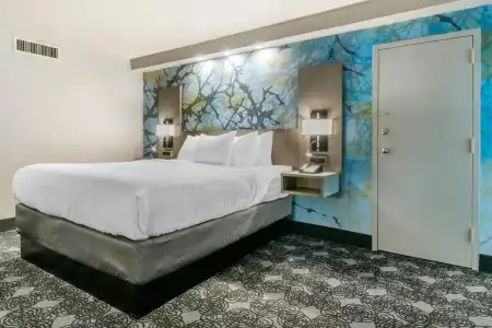 Clarion Inn Murfreesboro Old Fort Pkwy - 5