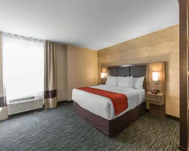 Comfort Inn & Suites Airport North - 6