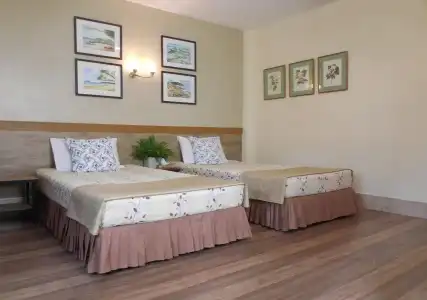 Holiday Village and Natural Garden Resort - 5