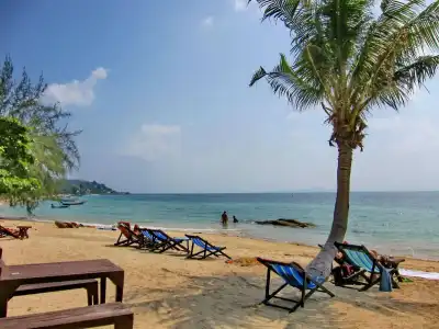 Thaniza Beachfront Resort - 5