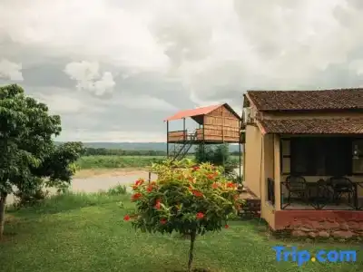 Wildlife Adventure Resort - 42