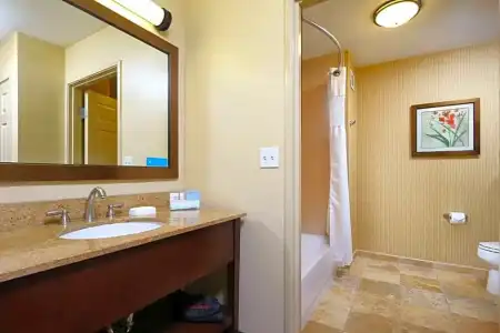 Hampton Inn & Suites Tucson-Mall - 66