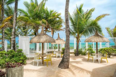 Tropical Attitude - Adults only - 43
