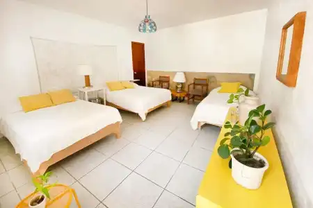 Casa Canario Hostel - 29