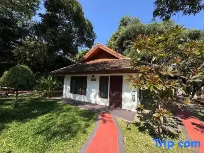 Mango Tree Resort - 85