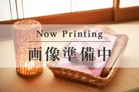 Ooedo Onsen Monogatari Premium Ito New Okabe - 17