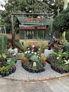 ViangPhing Resort - 8