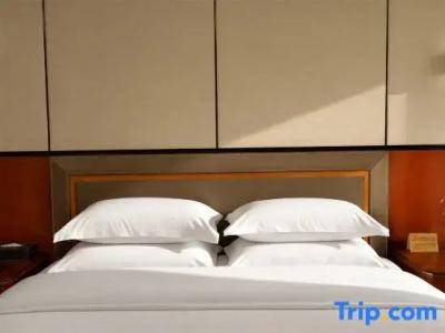 SciTechˑChina NARADA - 113