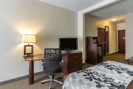 Sleep Inn & Suites Bush Intercontinental - IAH East - 41