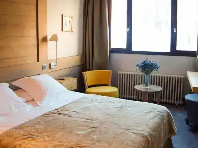 Hôtel Le Ski d'Or - 42