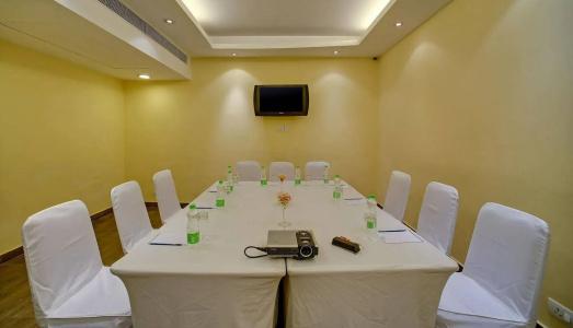 Sarovar Portico Naraina Delhi - 15
