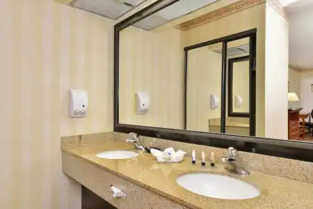Best Western Plus Raffles Inn & Suites - 28