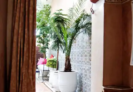 Riad Les Oliviers & Spa - 26
