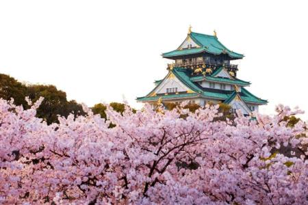 Sotetsu Fresa Inn Osaka-Shinsaibashi - 18