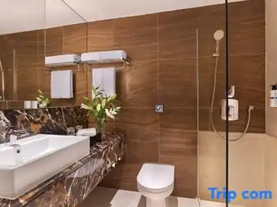 Pullman Singapore Orchard - 84