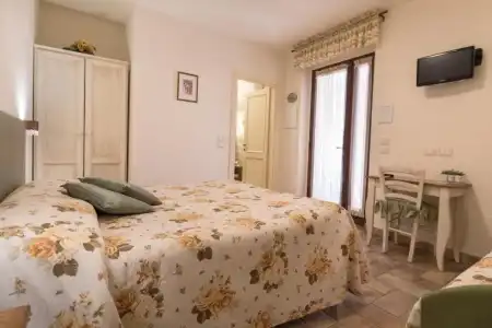 Rosa di Assisi - 56