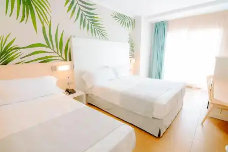 Alegria Florida - 22