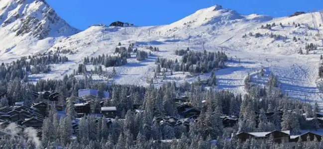 Hôtel Edelweiss - 54