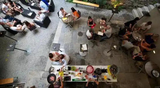 Pardo Bar - 20