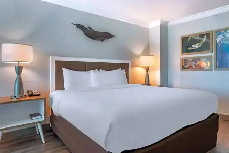 Dolphin Sands Clearwater Beach, an Ascend Collection - 96
