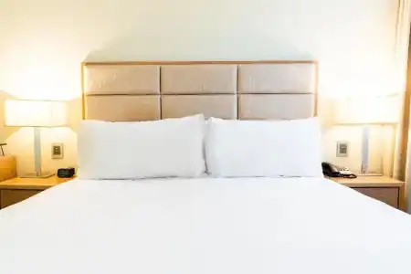 Holiday Inn Parramatta by IHG - 77