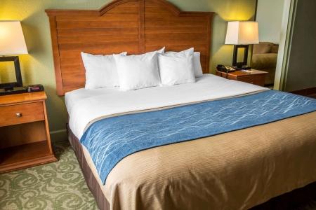 Comfort Inn South Oceanfront - 2