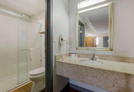 Quality Inn Columbus-East - 33