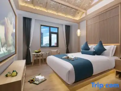 Hôtel Ibis Toulouse Purpan - 52