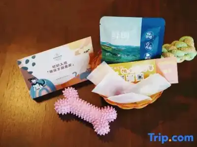 Ascott Raffles City Chengdu - 128