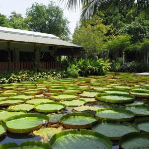 Muaan Resort - 26