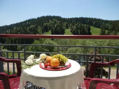 Das Wald- Genuss & Wellness am Notschreipass - 25