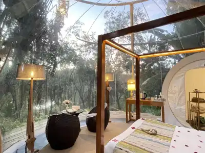 Bubble Lodge Bois Chéri Plantation - 11