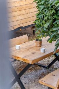 Bodrum Gaia Tiny Houses Butik - 62