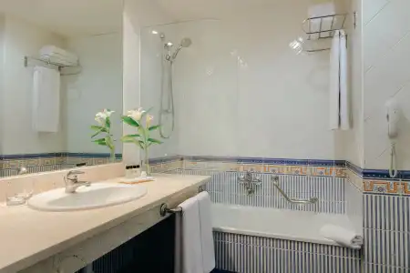 Hesperia Sevilla - 17