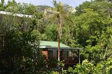 Cashew Nut Grove Chalets - 8