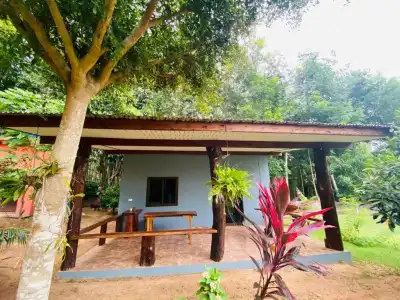 Nadia Resort Kohjum - 82