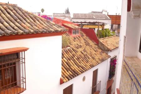 Apartamentos Los Patios de la Judería - 205