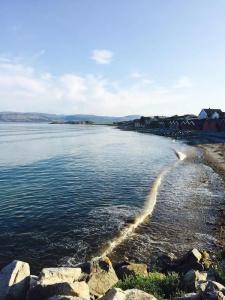 Brekstad Gjestehus - 10