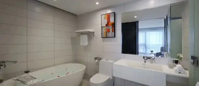 Shenzhen Hongdu - 2