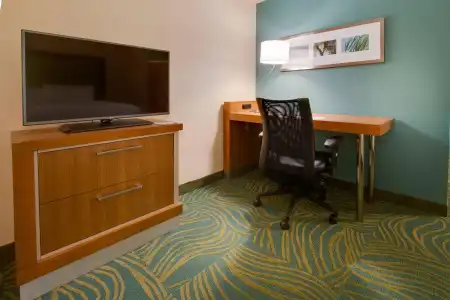 SpringHill Suites by Marriott Orlando Lake Buena Vista South - 48