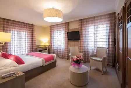 Hôtel Vacances Bleues Royal Westminster - 86