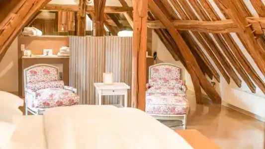 Le Champ des Oiseaux Hôtel & Spa 4* - 27